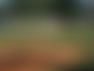 Sioux Falls moves into another state Little League title game