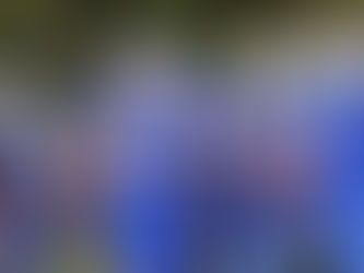 Hot Springs moves top 2-0, run past McCook Central-Montrose 41-0