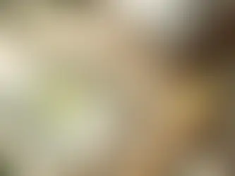 Organismi puhastus: kuidas vabaneda kogunenud toksiinidest?