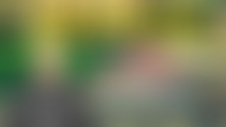 അസൂയ അഹങ്കാരം