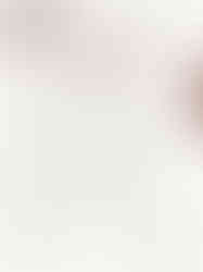 Chào Đón Mùa Lễ Hội Cùng Menu Đặc Biệt Từ Zumwhere