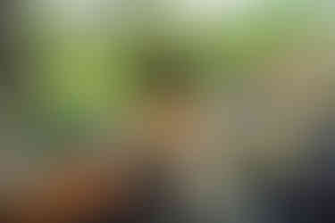 Zumwhere outside catering