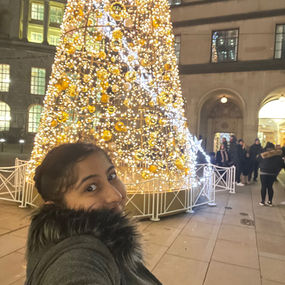 The ‘Perfect’ Christmas