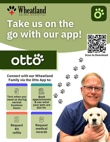 Otto Poster copy.png