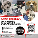 puppy class ig post square.png