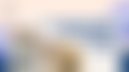 How Microchipping Helps Pets Find Their Way Home