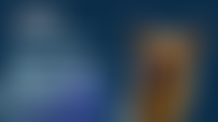 From Prep to Recovery: Supporting Your Pet Through Surgery