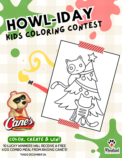 Color, Create & WIN!.png