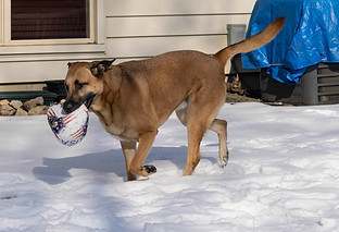 20220130 Buddy-32.jpg