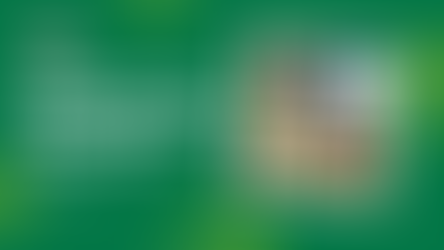 Surgery You Can Trust for Your Pet