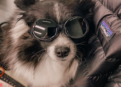 Screen Shot 2022-03-02 at 4.19.28 PM.png