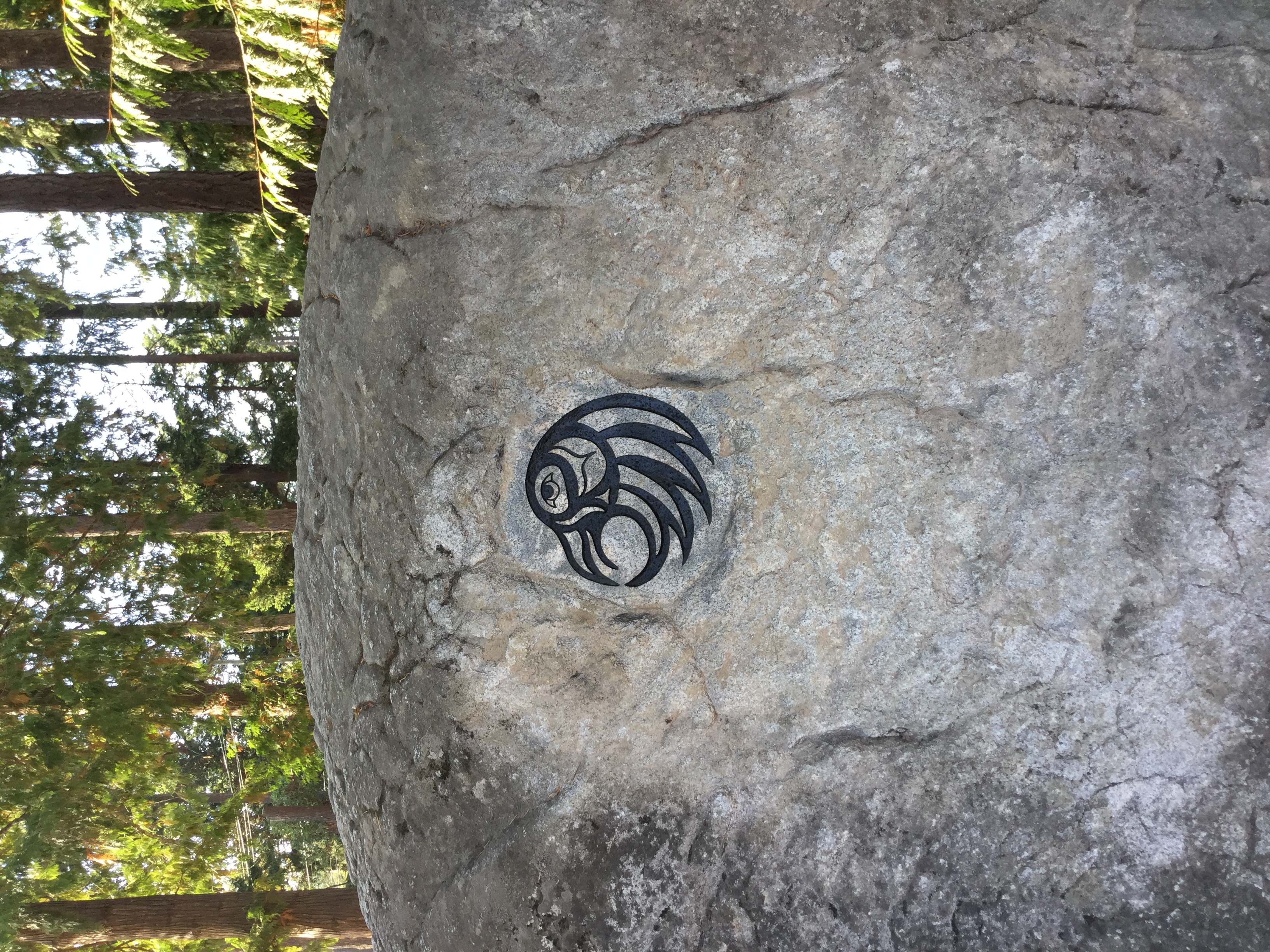 Petroglyph Raven