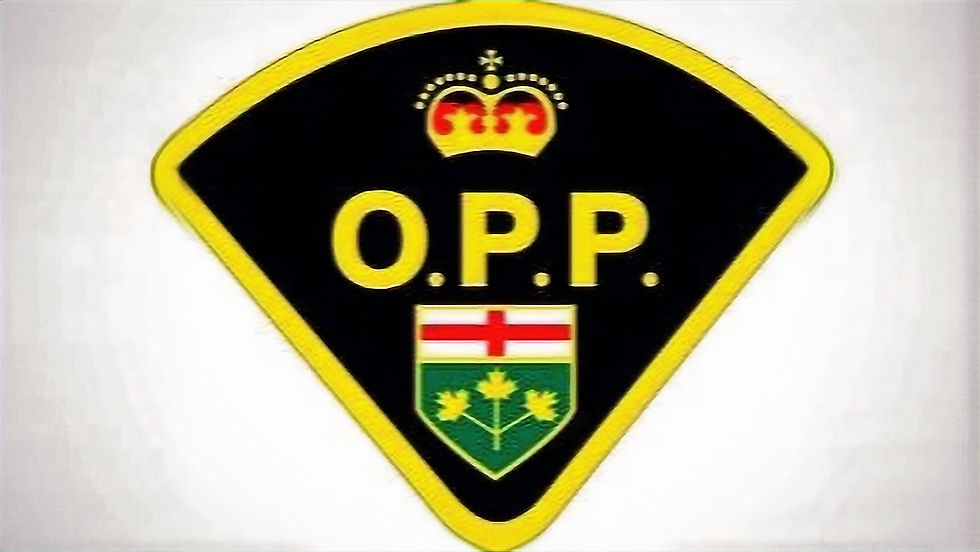Highway 401 Westbound at a Standstill Following Transport Truck Collision