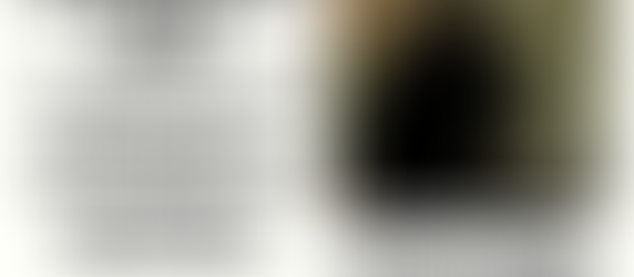 Missing Cat in Odessa: Help Bring Luna Home