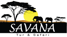 savana tur safari