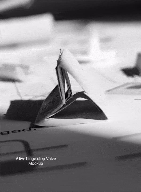 WhatsAppVideo2024-06-16at23.10.08-ezgif.com-optimize.gif