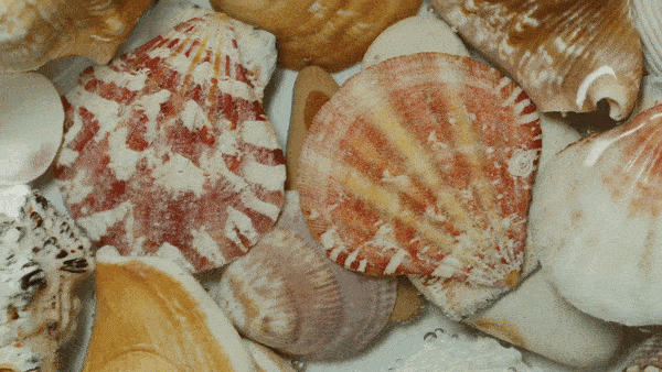 7233689-uhd_3840_2160_30fps111-ezgif.com-optimize.gif