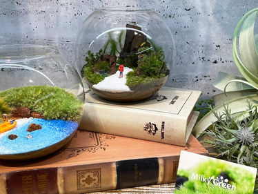 【ワークショップちょっぴり上級者コース一部料金変更・新コースのお知らせ】