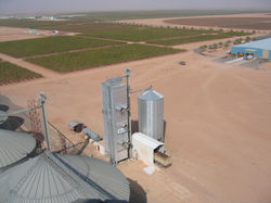 arabie_saoudite-séchoir_fixe+silo