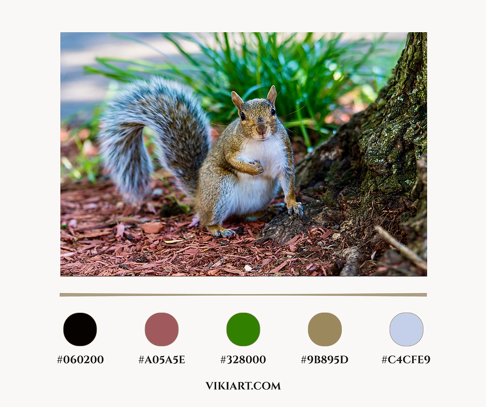 Thumbnail: Curious Squirrel Portrait - Woodland Nature Photography Print