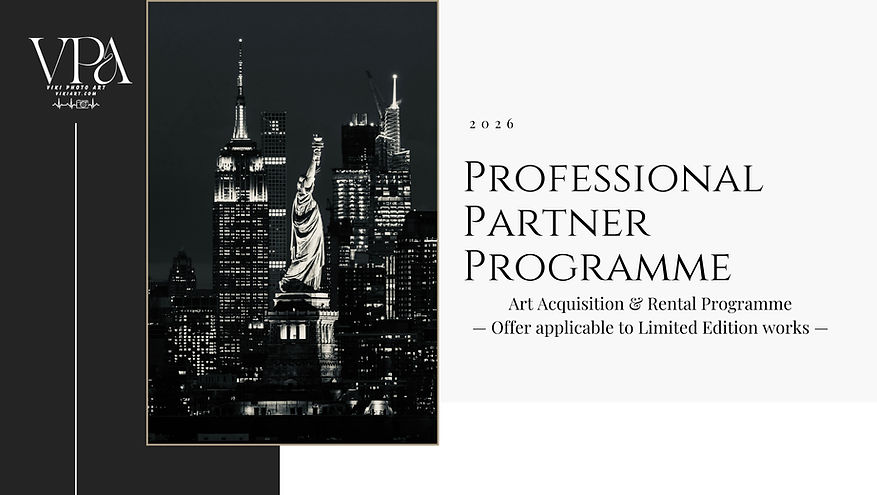 Viki Photo Art Partneri Program 2026 Eng.jpg