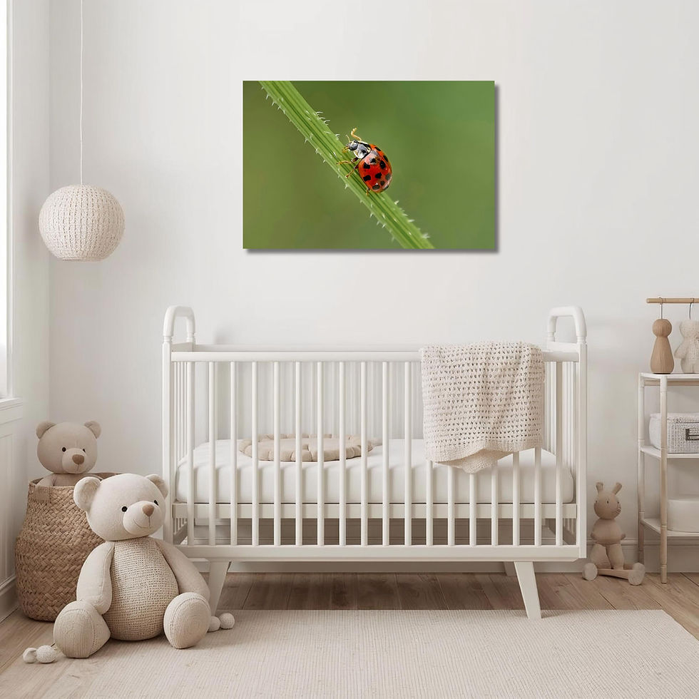 Thumbnail: "Little Luck" Ladybug Macro Art - Red and Green Nature Wall