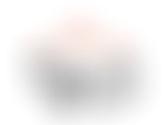 2025 Year of The Snake