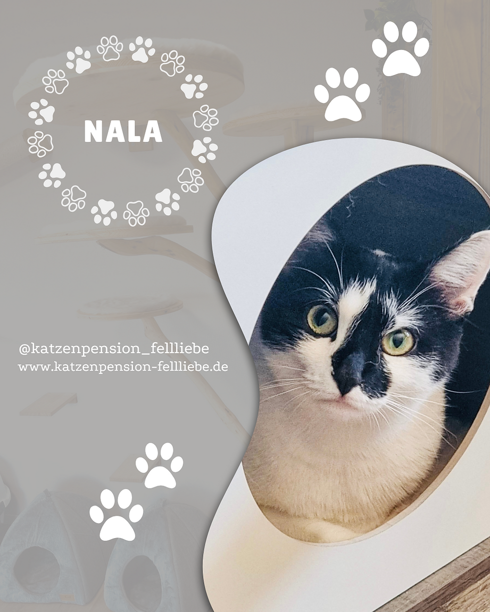 Nala