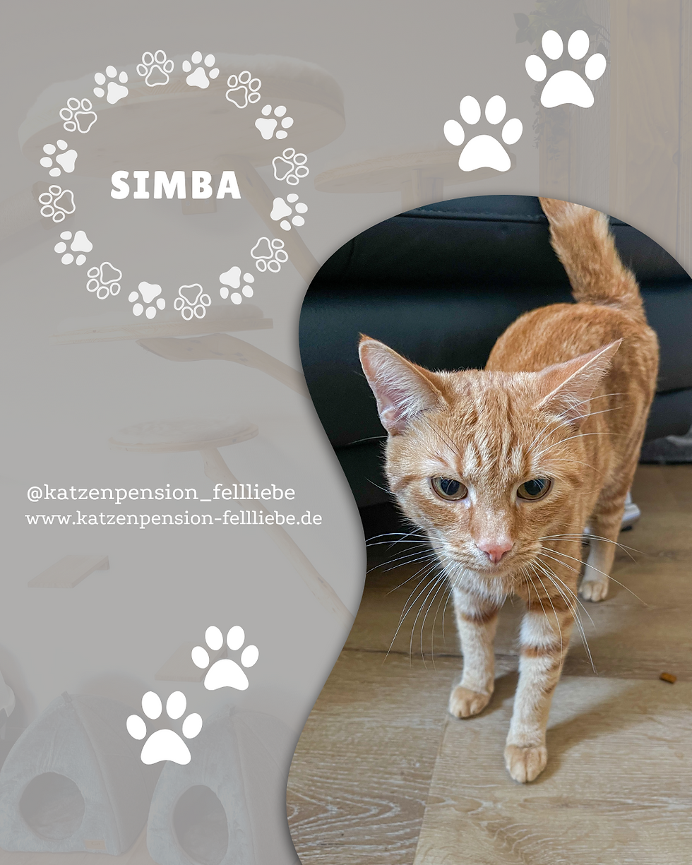 Simba