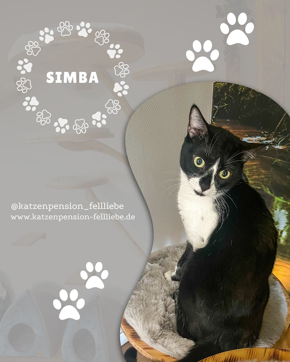 Simba