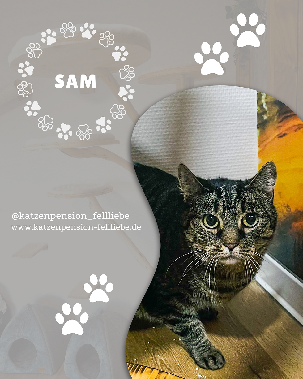 Sam