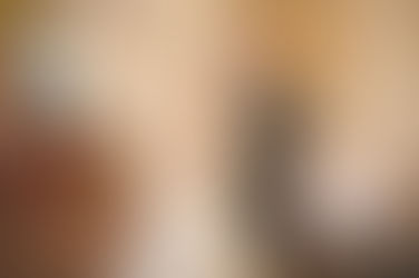 Svatba Růže krémové barvy