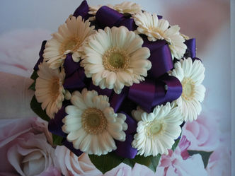 Svatba Gerbera, Trachellium a stuha