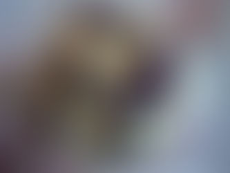 Svatba Gerbera, Trachellium a stuha