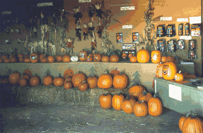 Pumpkins