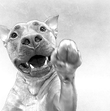 IMG_0294 (1)_edited_edited_edited.png