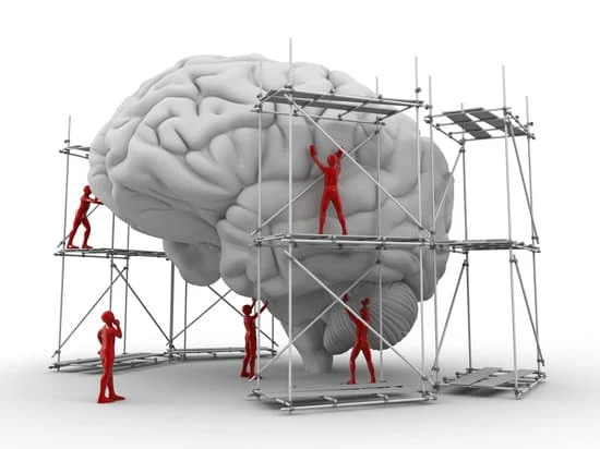 Construction of Brain - Acupuncture Treatment for Stress and Anxiety