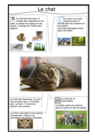 1 2 3 Petits Chats Qui Savaient Compter Jusque A 3 Cartable Maternelle