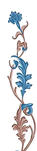 6a9bc73075d99c977892e0fa305e1b9e.png