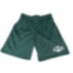 Thumbnail: Mens premium mesh shorts