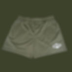 Thumbnail: Mens premium mesh shorts