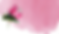 Untitled design-12.png