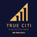 True Citi Projects