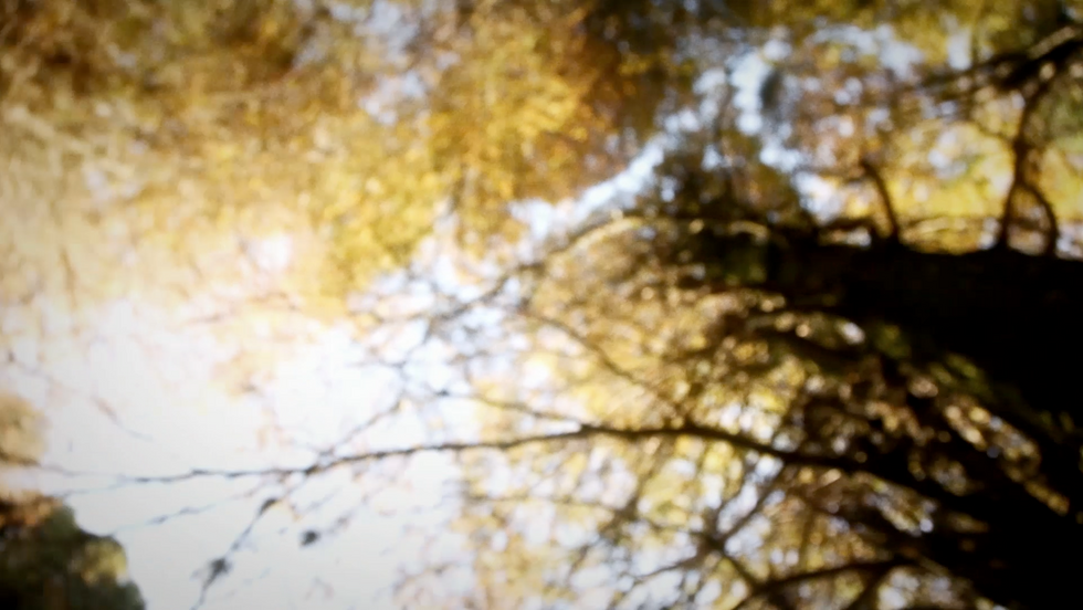 Captura_de_Tela_2019-04-26_às_16.16.08.p