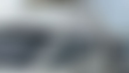 Searching for the Bluefin Tuna..