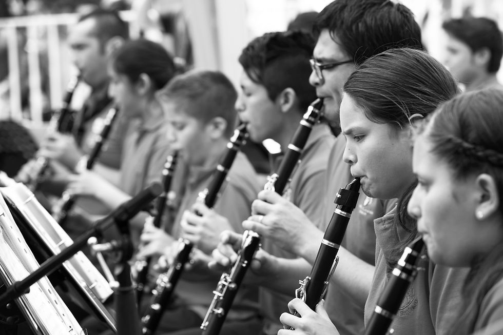 Toccata 042_bn