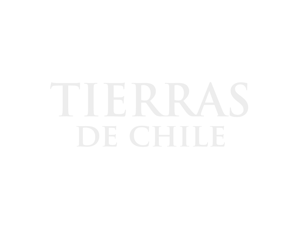 Tierras del Chile logo