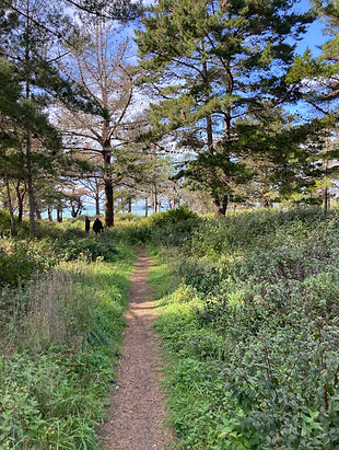 Big Sur Trails.jpg