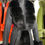 Thumbnail: Cashmere, Wool, Alpaca mixed Fabric Woman Fur Coat with Real Fur Coat Woman’s Lo