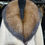 Küçük resim: Beige Faux Fur Coat with Real Fox Fur Collar and Real Leather Details Women’s Wi